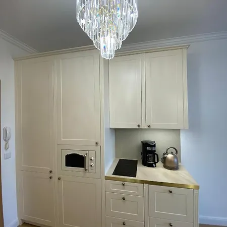 Walowa Shipyard Apartments By The Oldtown 格但斯克